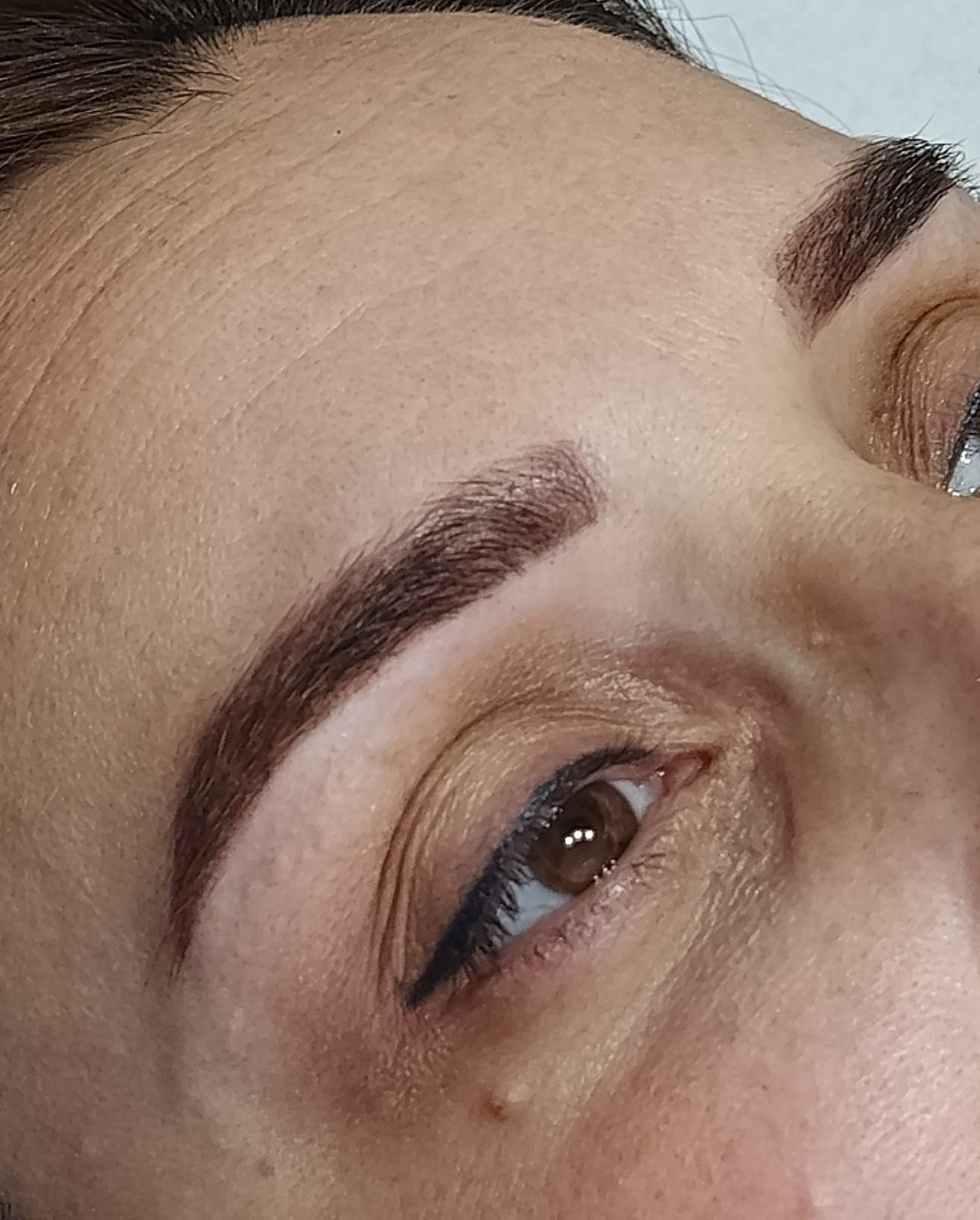 Micropigmentacion Cejas